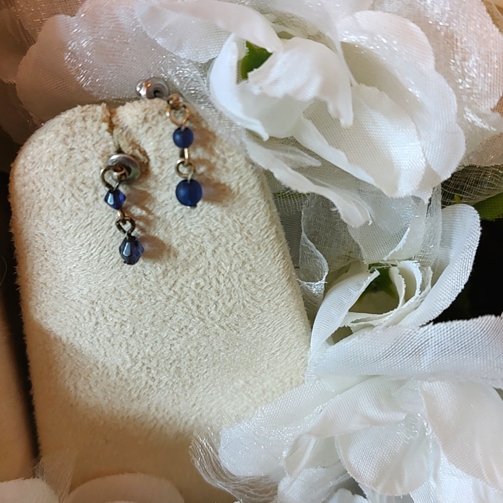 🎉 Free with Bundle🎉 Blue Bead Danglers